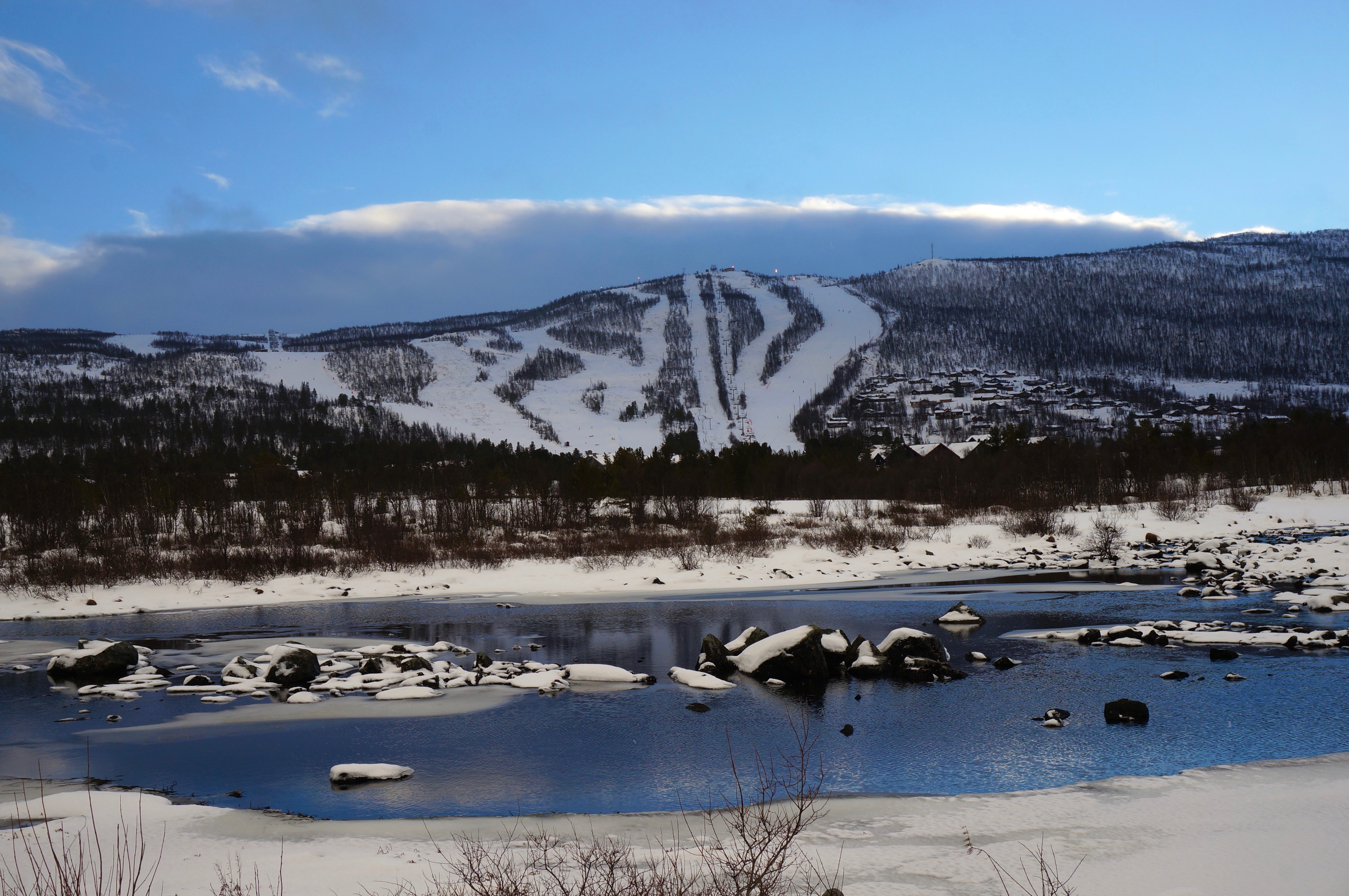 Veslefjorden og Vestlia