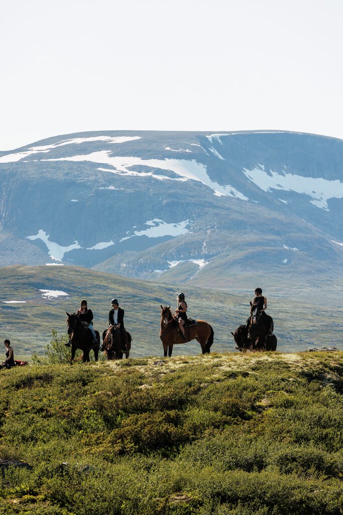 Hol nasjonalparkkommune